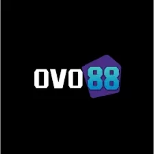 Review Aplikasi ovo88 Versi Terbaru